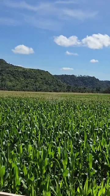 PRECISION IN THE FIELD